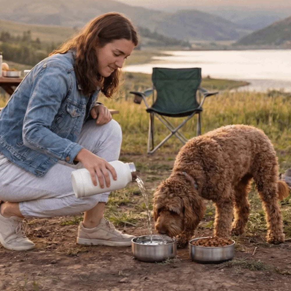 3-in-1 Insulated Dog Water Bottle